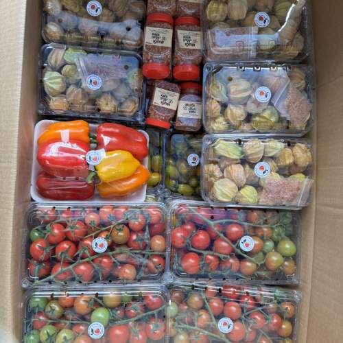 ALBUM ẢNH HTX CANH CANH