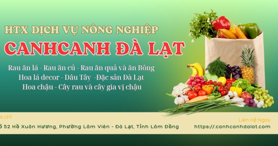 Hình ảnh liên hệ