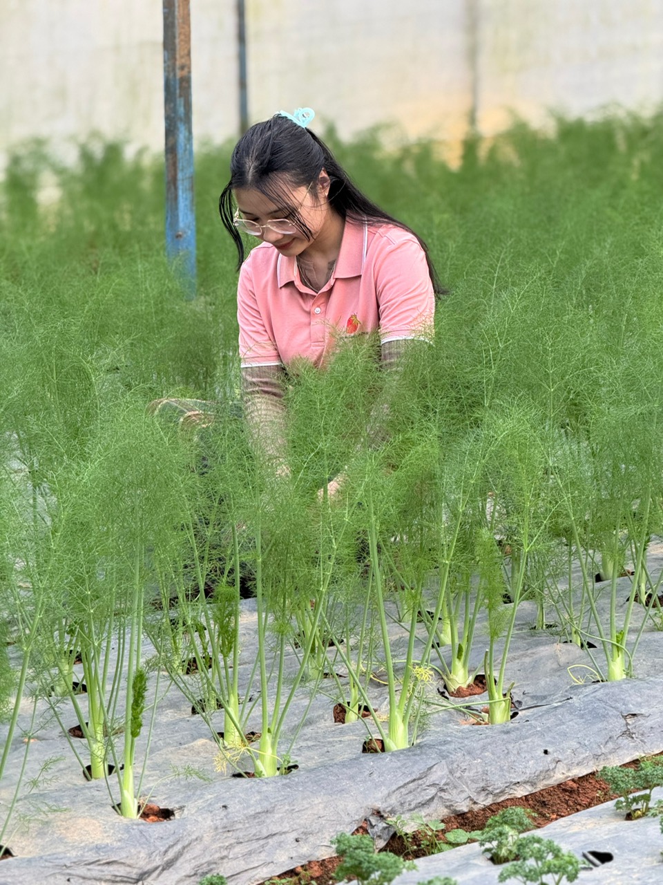ĐĂNG KÝ NHẬN ƯU ĐÃI TỪ